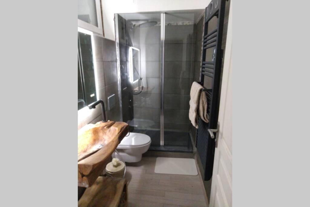 Chaleureux Petit Appartement De 4 Couchages แซ็ง เอเทียน เดอ ทิเน ภายนอก รูปภาพ