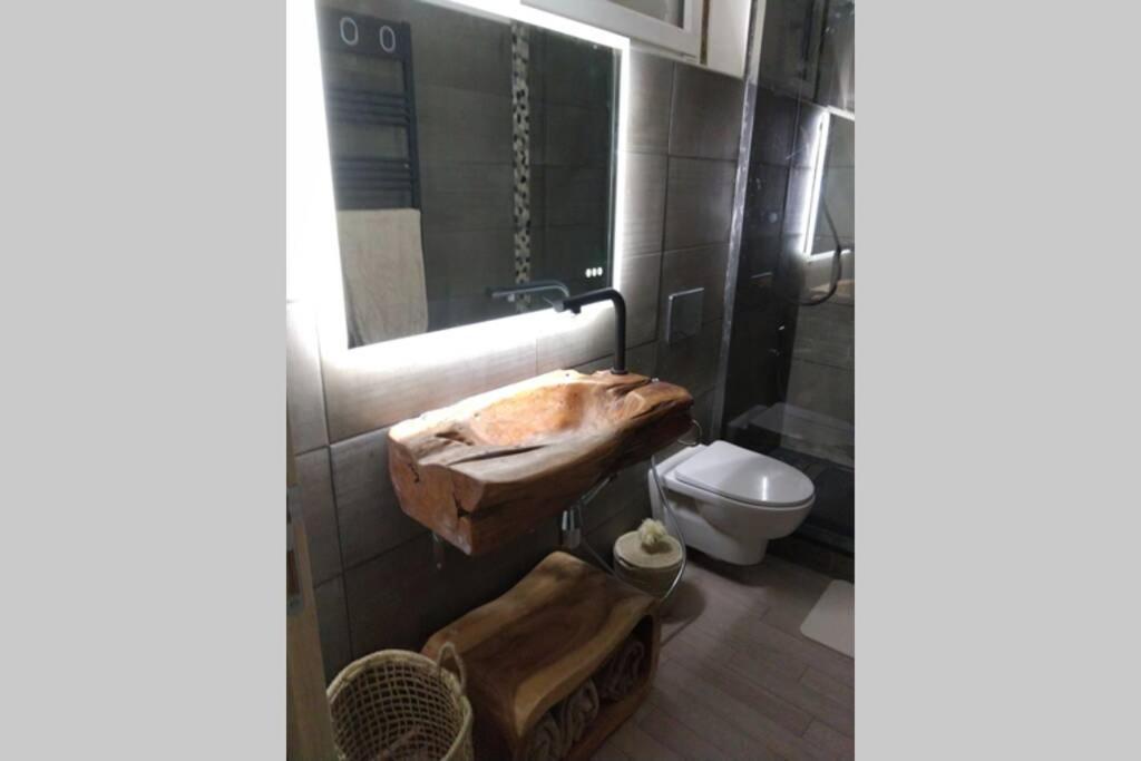 Chaleureux Petit Appartement De 4 Couchages แซ็ง เอเทียน เดอ ทิเน ภายนอก รูปภาพ